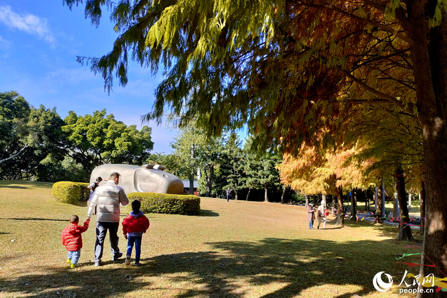 市民游客在落羽杉树下享受午后时光。人民网 陈博摄