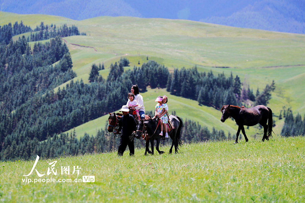 甘肃肃南：康乐草原迎来旅游旺季