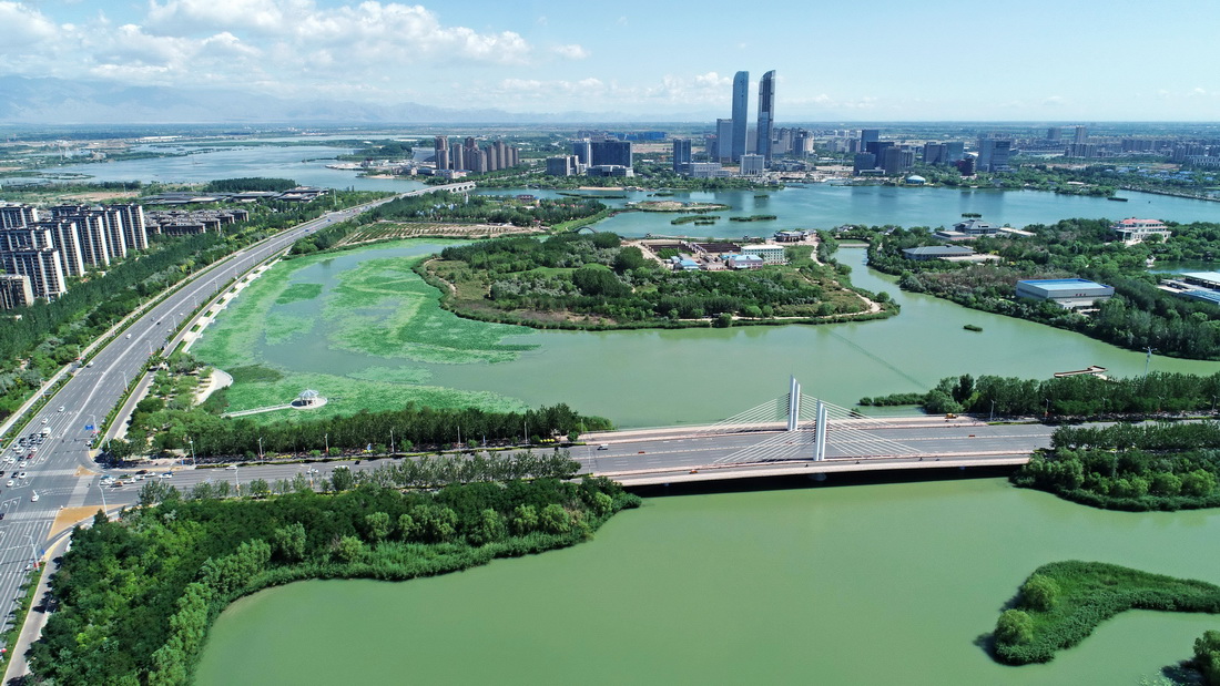 宁夏银川市阅海国家湿地公园一景(2022年6月27日摄,无人机照片)。 新华社记者 王鹏 摄